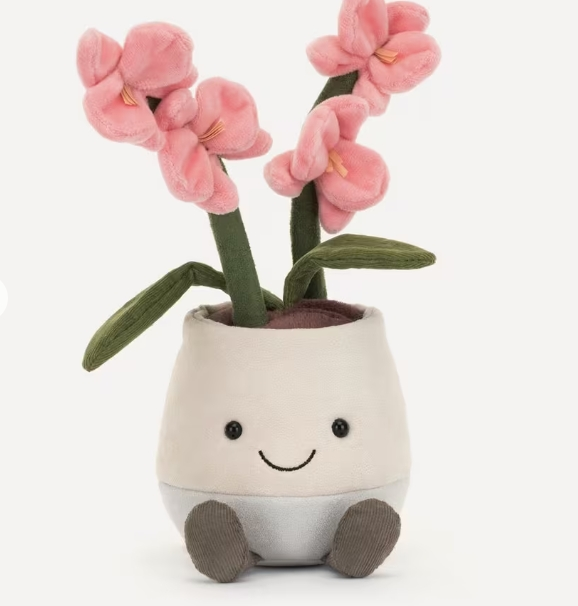 Jellycat  兰花盆栽