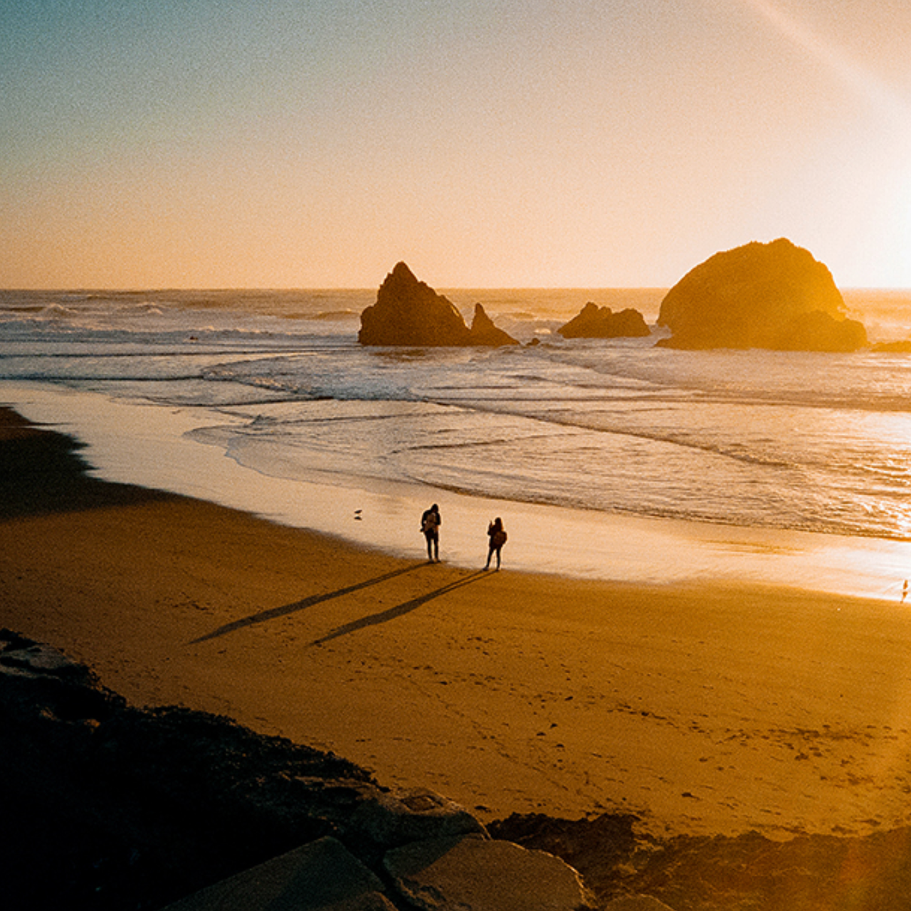 Expedia US：会员专享！超值家庭旅行计划