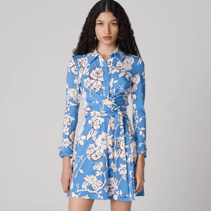 DVF Didi 衬衫裙