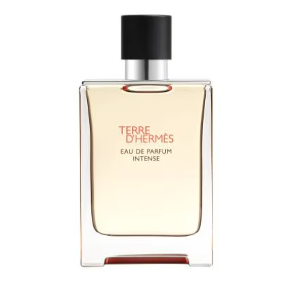 HERMÈS TERRE D'HERMES 浓香水 100ml