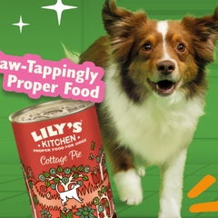 Lilys Kitchen：猫粮、狗粮促销！万圣节小汉堡8 x 70g折后£25