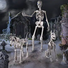 The Home Depot（家得宝）：万圣节骷髅装饰热卖