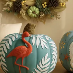 Bealls Florida：秋季单品热卖