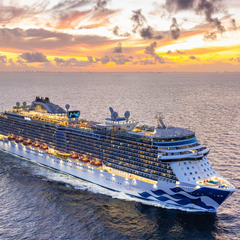 Cruise 118：额外最高立省10%