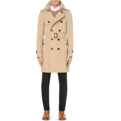 海淘风衣_和平精英黄金风衣图片(2)