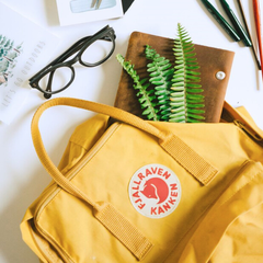 Fjallr*en Kanken 北极狐背包 $57.5（约365元）