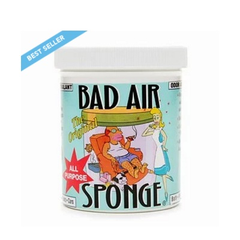 美国白宫御用|| Bad Air Sponge 空气净化剂 $10.49（约73元）