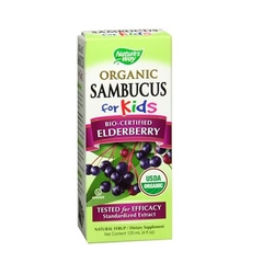 Nature's Way 有机黑接骨木儿童糖浆 $13.99 （约98元）