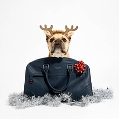 【双12狂欢】Mybag：Ted Baker 精选包袋 低至7折！