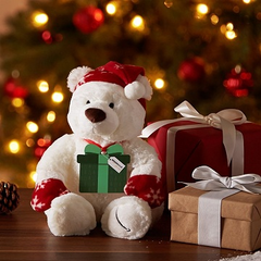 英国亚马逊：购买礼品卡 送2016限量版Gund泰迪熊！