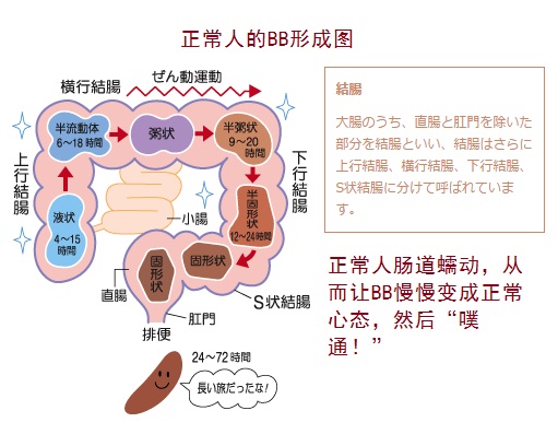 皇汉堂清肠*丸 400粒 *价875日元（约54元）