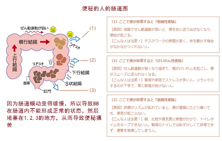 皇汉堂清肠*丸 400粒 *价875日元（约54元）