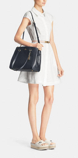 COACH Stamped Snakeskin Stanton Carryall 蛇皮纹理手袋 $219.99（约1593元）