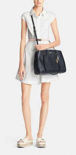 COACH Stamped Snakeskin Stanton Carryall 蛇皮纹理手袋 $219.99（约1593元）