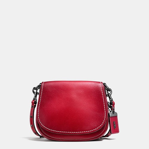 COACH SADDLE 17 植鞣革马鞍包 5（约1268元）