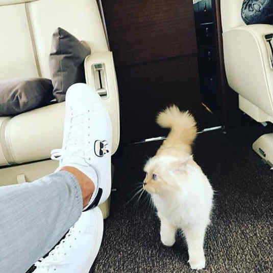 Karl Lagerfeld 老佛爷卡通形象小白鞋 £112（约977元）