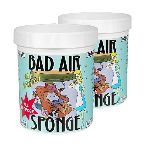 The ORIGINAL Bad Air Sponge 除甲醛空气净化剂 400g*2罐