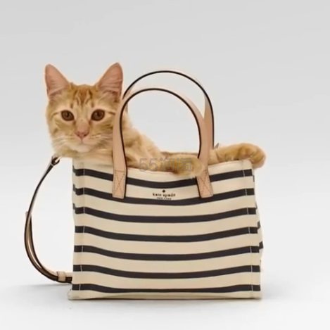 kate spade：全场服饰鞋包