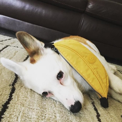 我不是香蕉！Kipling Banana 香蕉笔袋（可做化妆包）