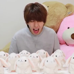 Hajime社长同款 日本亚马逊 Takara Tomy Mimicry Pet 会学说话的电动毛绒玩具公仔兔子玩偶 55海淘