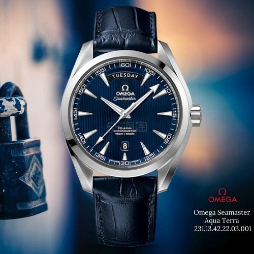 Omega 欧米茄 Aqua Terra 海马系列 231.13.42.22.03.001 男士机械腕表