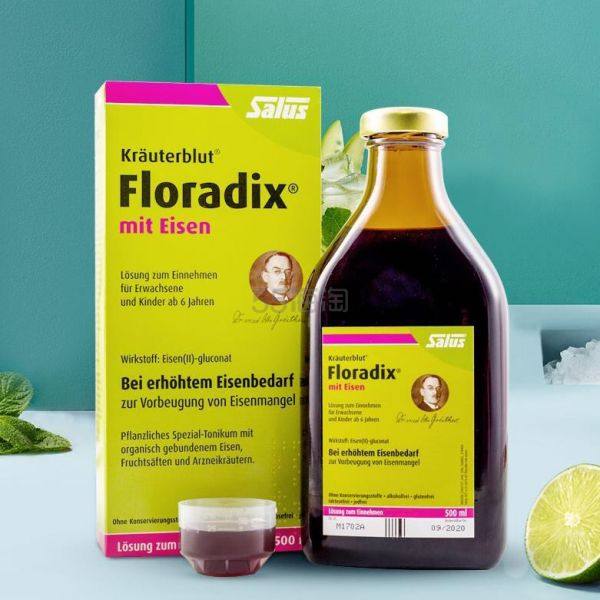 【满减9欧+免邮中国】Salus Floradix mit Eisen 铁元 补铁**抗疲劳 500ml
