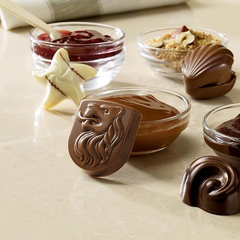 【黑五预热闪促】Godiva 歌帝梵：精选节日巧克力礼盒