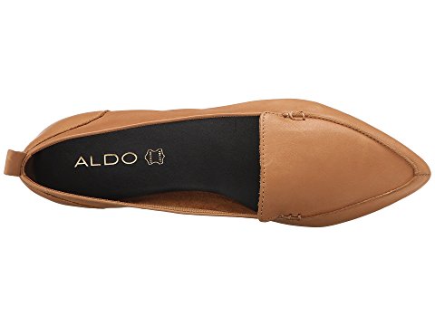 ALDO Bazovica 女款棕色尖头平底鞋
