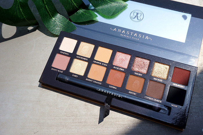【5姐晒单】比文艺复兴更值得收的 Anastasia 新14色眼影盘 Soft Glam