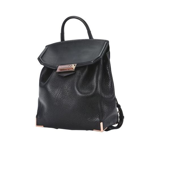 热门款！Alexander Wang Backpack  大王家书包