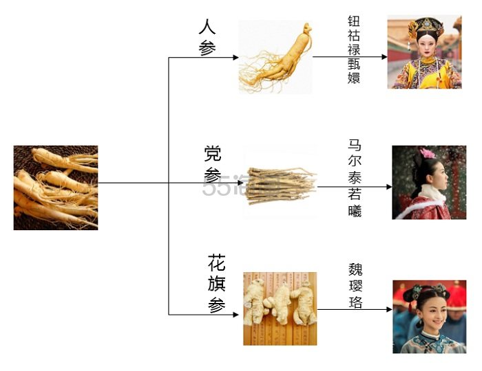 甄嬛是人参，若曦是党参，那么令妃魏璎珞是什么参？