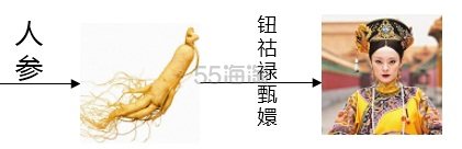 甄嬛是人参，若曦是党参，那么令妃魏璎珞是什么参？