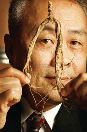 甄嬛是人参，若曦是党参，那么令妃魏璎珞是什么参？