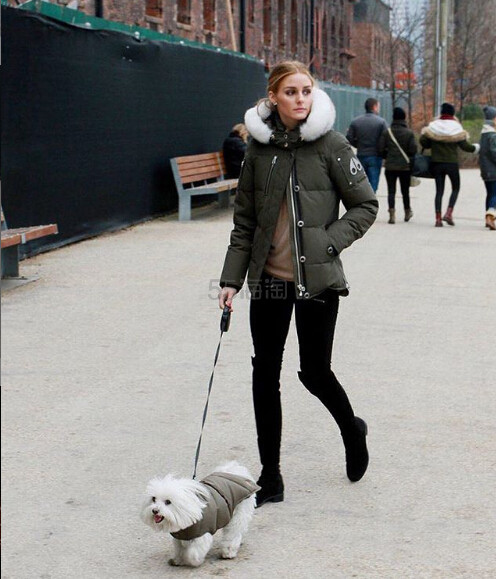 除了加拿大鹅，你还可以考虑买“小剪刀”Moose Knuckles，Farfetch 精选多款 Moose Knuckles 羽绒服