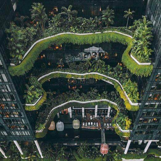 新加坡必打卡地标！Parkroyal on Pickering 皮克林宾乐雅酒店