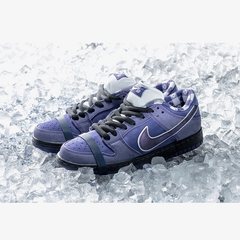 Nike SB X Concepts 合作款 “紫龙虾” 运动鞋