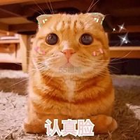 淘宝天猫返利上线啦！