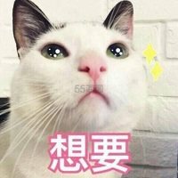 淘宝天猫返利上线啦！