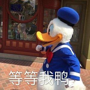 【5姐教程】shopDisney 迪士尼美国官网：全世界*天真可爱的城堡