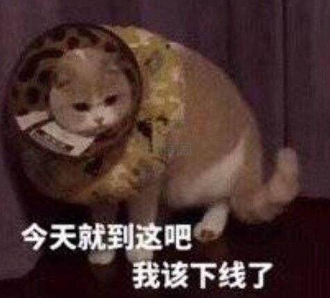Cosme.com：2019上半年 Cosme 大赏名单