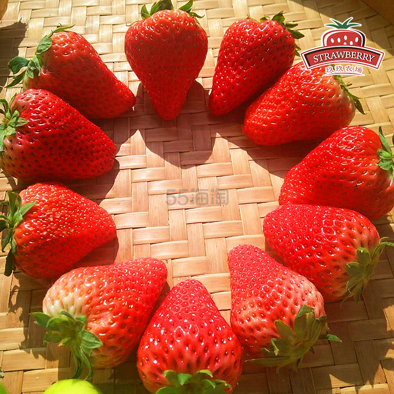 【返利3.6%】玖玖农场 丹东九九草莓 3斤大果精品装