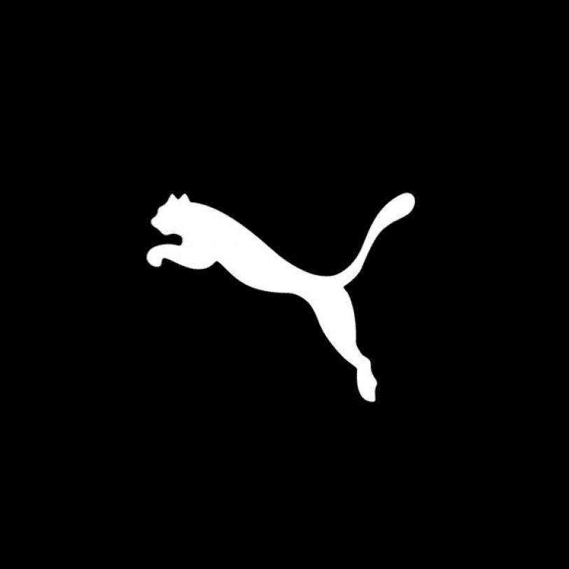 PUMA 彪马 日本官网：海淘下单攻略详解