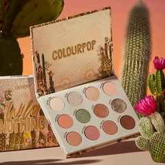 【7月新品】ColourPop 卡拉泡泡 The Wild Nothing系列