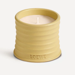 Loewe 小号 Honeysuckle 香氛蜡烛 170g