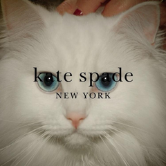 【2020黑五】Kate Spade 美国官网：全场服饰鞋包