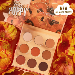 【7.5折】ColourPop 9色眼影盘 big poppy