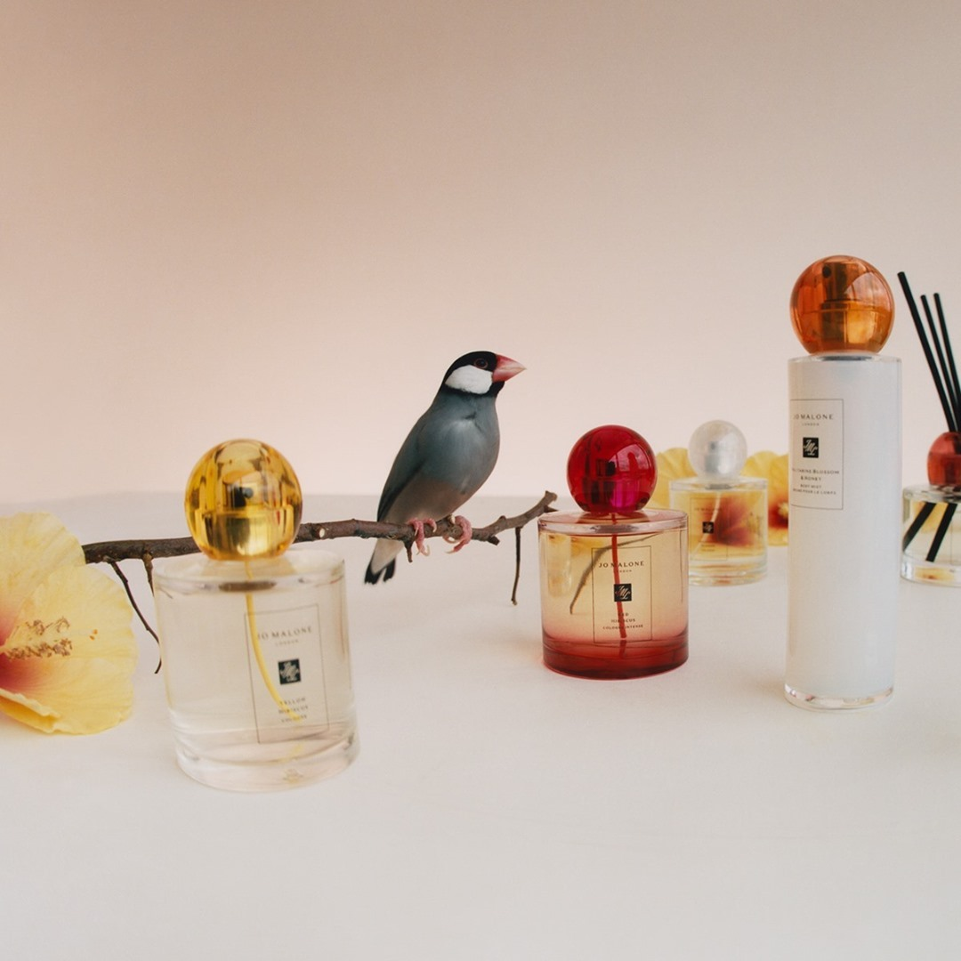 【亲友会】Macy's：Jo Malone 祖玛珑全线香氛促销