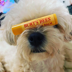 Burt's Bees 天然润唇膏等身体护理