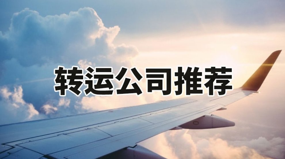 2024海淘转运公司哪些不容易掉坑？2024哪家转运公司好？