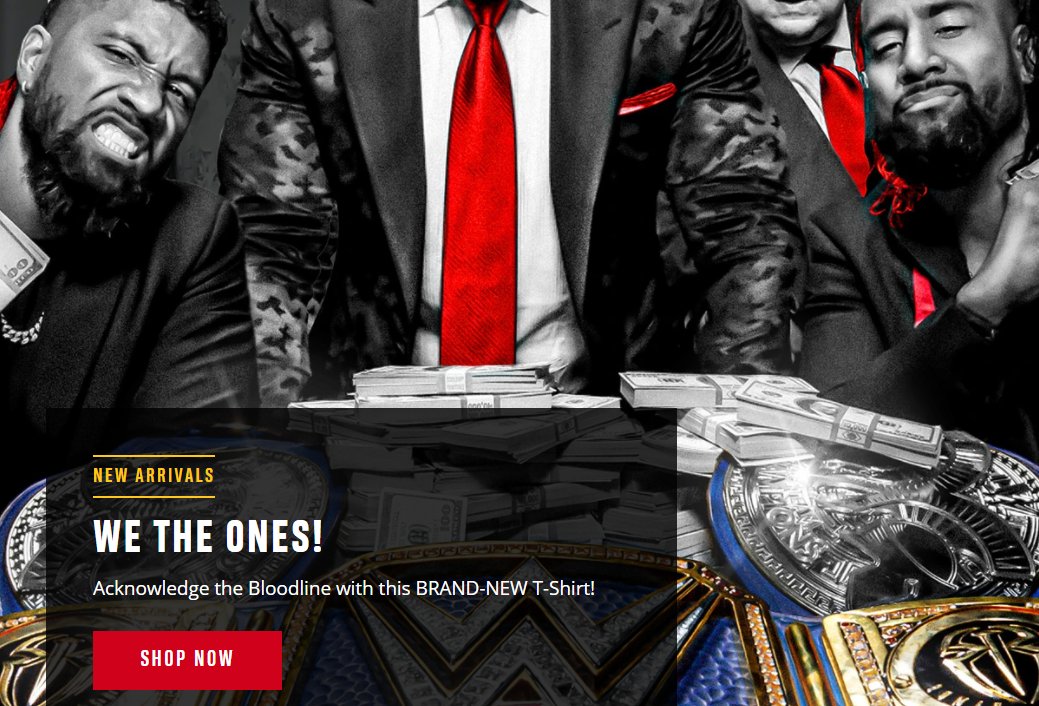 WWE是目前世界上最具影响力和观赏性的职业摔角联盟之一，在W
